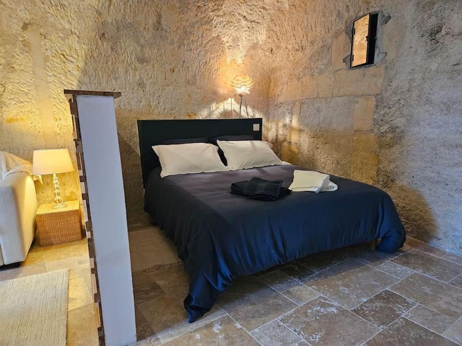 Charmante Maison Troglodyte Loire Valley ロシュコルボン エクステリア 写真